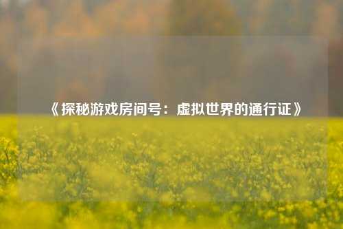 《探秘游戏房间号：虚拟世界的通行证》