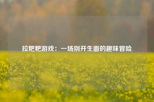拉粑粑游戏：一场别开生面的趣味冒险