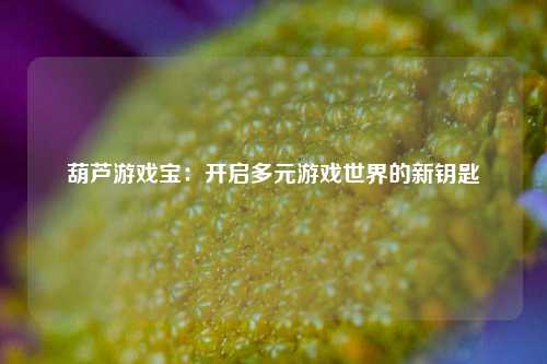 葫芦游戏宝：开启多元游戏世界的新钥匙