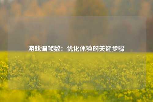 游戏调帧数:优化体验的关键步骤